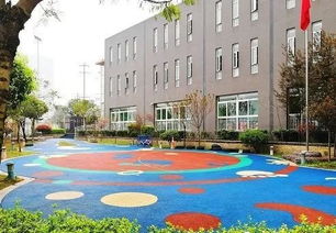 金蘋果新蒙特梭利幼稚園強勢上榜 13所一級幼兒園名單新鮮出爐