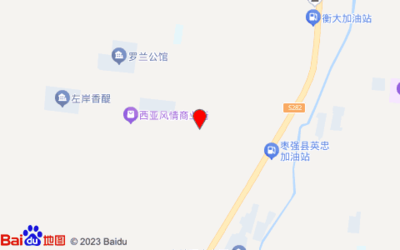 衡水市棗強縣人民街金蘋果幼兒園西側約80米