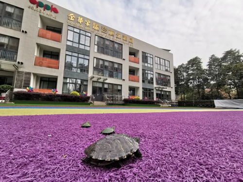 親愛的孩子,春天的幼兒園是這樣的