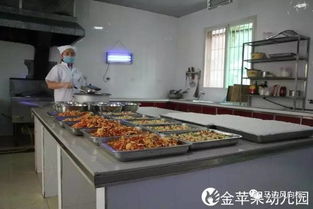 金蘋果幼兒園報名通知