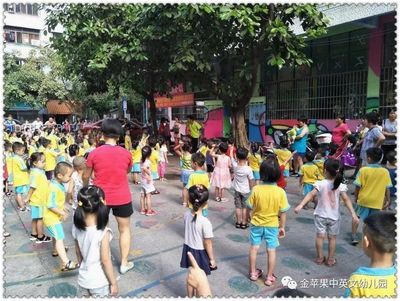 金蘋果中英文第三幼兒園--歡樂體智能課:有趣的海綿棒
